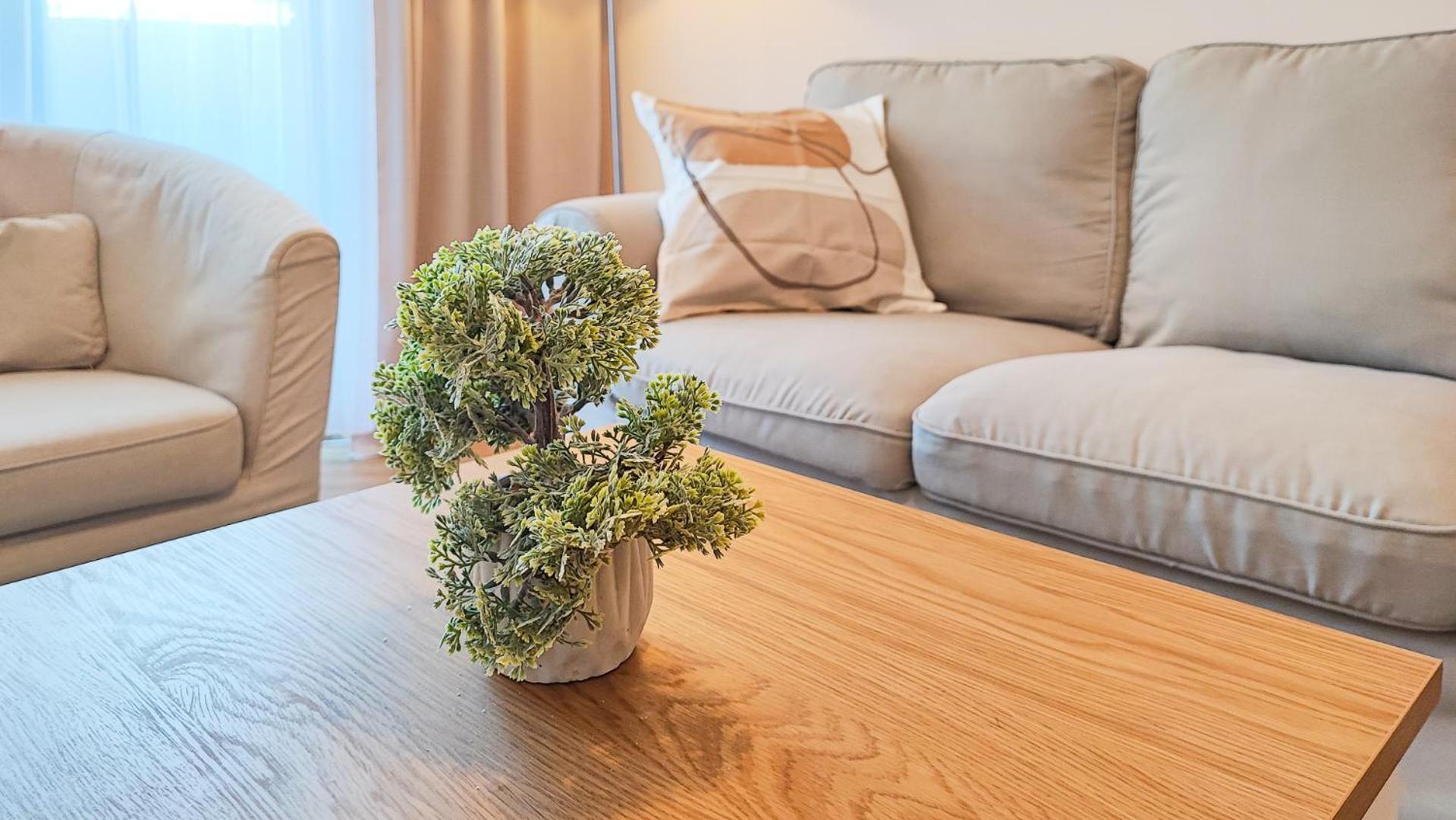 Filinhome Brankovica Suite Novi Sad Dış mekan fotoğraf